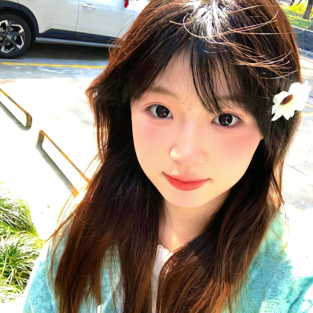 晴晚之林